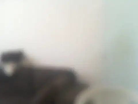 ConradinhoBR50 online show from 04-19-26, 02:27