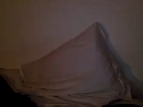 Snapshot of FelipeRiver chatting on 01-22-25, 01:20 FelipeRiver online show from 01-22-25, 01:20