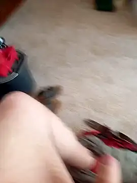 maiki7778 online show from 10-02-25, 12:34