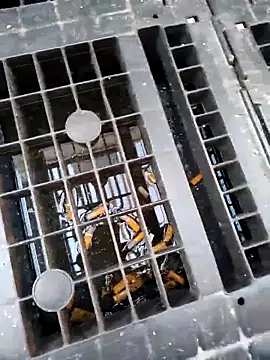 Snapshot of Ethangay chatting on 02-25-26, 07:18 Ethangay online show from 02-25-26, 07:18