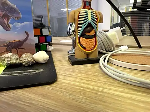 Snapshot of fmodel chatting on 09-24-25, 11:24 fmodel online show from 09-24-25, 11:24