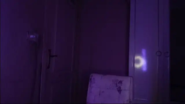 Snapshot of Bullish chatting on 01-22-25, 11:45 Bullish online show from 01-22-25, 11:45