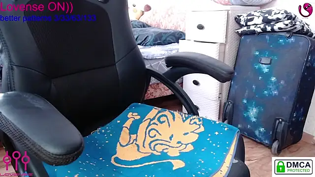 sweet cute cat online show from 02-13-25, 08:38