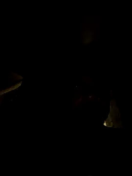 tropikboy online show from 03-21-26, 12:48