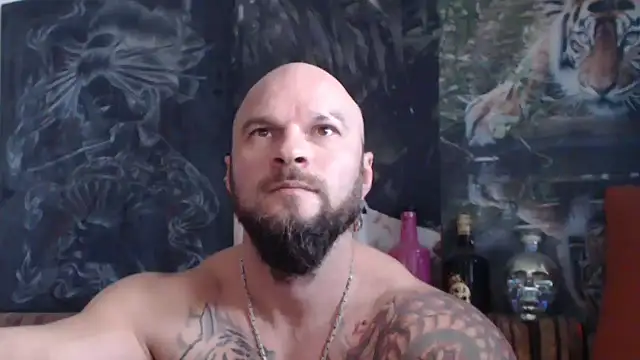 viking 30 online show from 11-09-25, 08:01