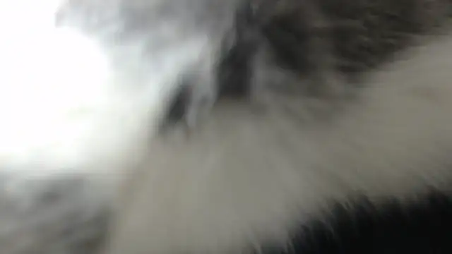 prettyangelsquirt online show from 04-08-26, 11:27