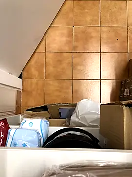 Snapshot of Mindnorthcam2 chatting on 11-17-25, 07:36 Mindnorthcam2 online show from 11-17-25, 07:36