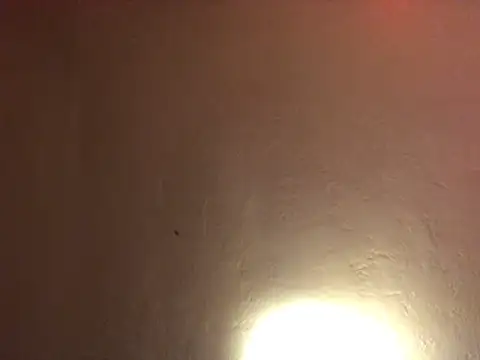 tattooed4you online show from 02-28-26, 06:58