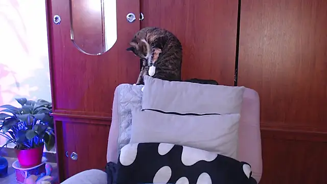 Raventh  online show from 02-13-26, 01:07