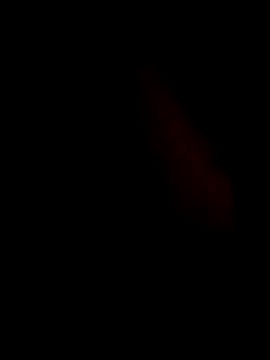 guilherme205 online show from 02-07-26, 02:43