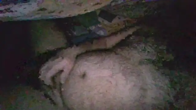 Snapshot of gerilom8787 chatting on 02-04-26, 02:45 gerilom8787 online show from 02-04-26, 02:45