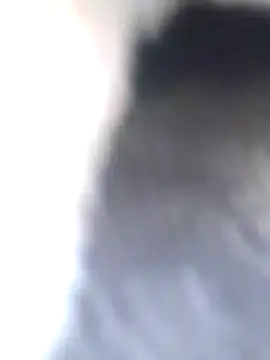 Dirtyfeelin online show from 01-27-25, 08:40