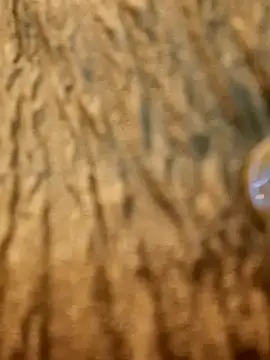 Dirtyfeelin online show from 02-13-25, 11:28