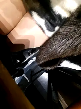 Dirtyfeelin online show from 11-18-25, 02:43