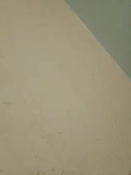 Indianbloom- online show from 02-17-26, 01:29