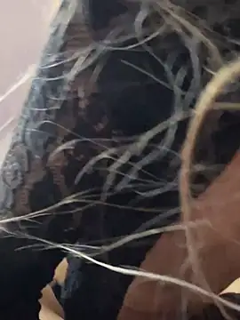 Snapshot of Littlebunny21 chatting on 12-15-24, 10:26 Littlebunny21 online show from 12-15-24, 10:26