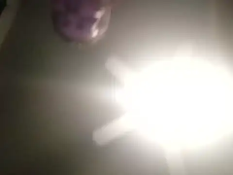 thefire420 online show from 12-03-24, 02:38