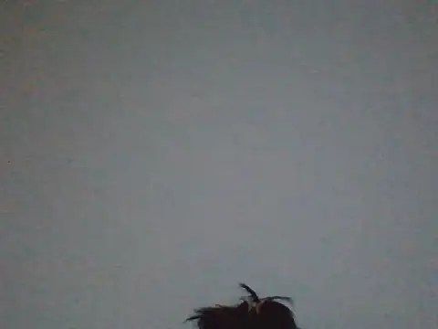 FallenDevil online show from 05-31-26, 07:48