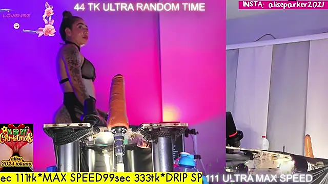 alise MULTIVIEW parker online show from 12-28-24, 11:37