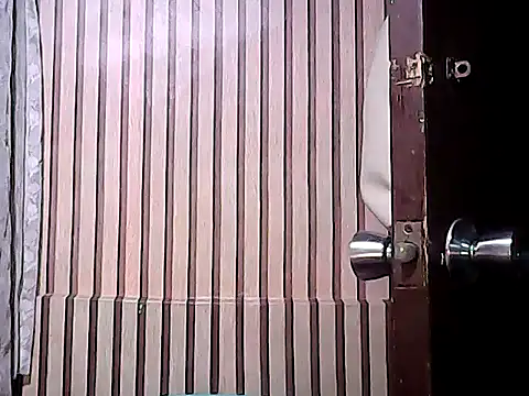 BigDickTrans online show from 01-13-25, 10:35