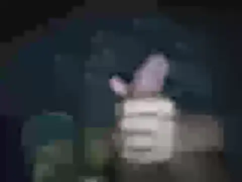 Snapshot of jheisonct chatting on 04-02-26, 03:59 jheisonct online show from 04-02-26, 03:59