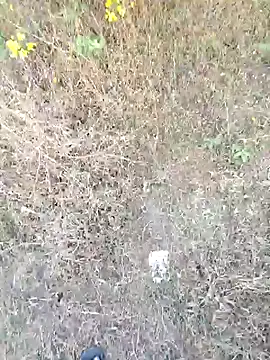 rameshmry1 online show from 03-21-26, 12:10