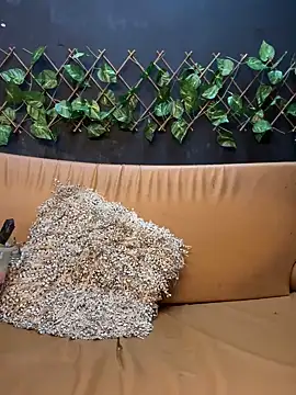 Snapshot of uma_patna000 chatting on 01-12-25, 09:51 uma patna000 online show from 01-12-25, 09:51