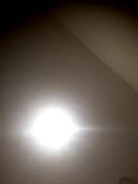 sua sub  online show from 11-05-25, 11:43