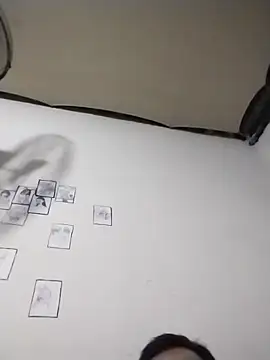 ocelot6141 online show from 04-24-26, 05:43