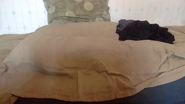 Snapshot of hamstergrabben chatting on 02-24-25, 11:54 hamstergrabben online show from 02-24-25, 11:54