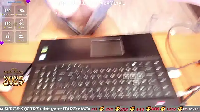 Snapshot of mery_lo chatting on 01-02-25, 05:24 mery lo online show from 01-02-25, 05:24