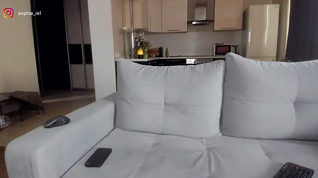 Snapshot of _in_yan chatting on 03-11-26, 05:46 in yan online show from 03-11-26, 05:46