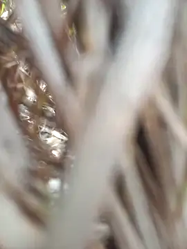 Snapshot of FinableKnee chatting on 09-19-25, 04:47 FinableKnee online show from 09-19-25, 04:47