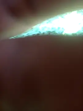 Snapshot of FinableKnee chatting on 09-24-25, 05:00 FinableKnee online show from 09-24-25, 05:00