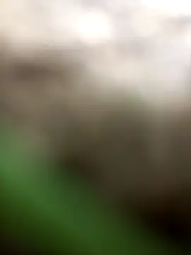 Snapshot of FinableKnee chatting on 10-06-25, 03:04 FinableKnee online show from 10-06-25, 03:04