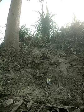 Snapshot of FinableKnee chatting on 10-15-25, 04:01 FinableKnee online show from 10-15-25, 04:01