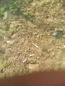 Snapshot of FinableKnee chatting on 10-27-25, 05:11 FinableKnee online show from 10-27-25, 05:11