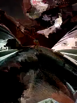 Snapshot of FinableKnee chatting on 11-17-25, 03:56 FinableKnee online show from 11-17-25, 03:56