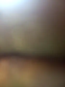 Snapshot of FinableKnee chatting on 11-27-25, 05:31 FinableKnee online show from 11-27-25, 05:31