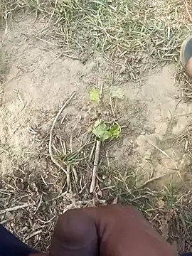 Snapshot of FinableKnee chatting on 11-29-25, 10:07 FinableKnee online show from 11-29-25, 10:07