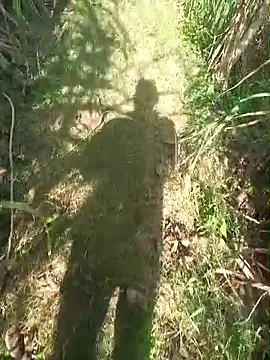 Snapshot of FinableKnee chatting on 11-30-25, 06:06 FinableKnee online show from 11-30-25, 06:06