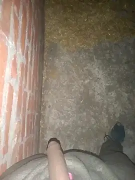 Snapshot of FinableKnee chatting on 12-01-25, 01:49 FinableKnee online show from 12-01-25, 01:49