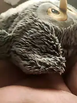 Snapshot of faphouse186582 chatting on 01-24-25, 05:10 faphouse186582 online show from 01-24-25, 05:10