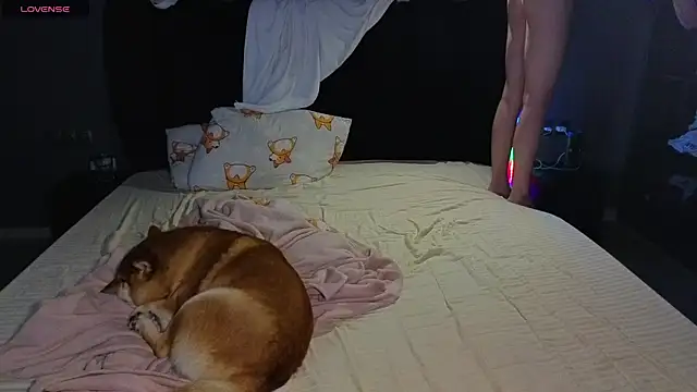 SexyCocobutt online show from 06-24-26, 01:21
