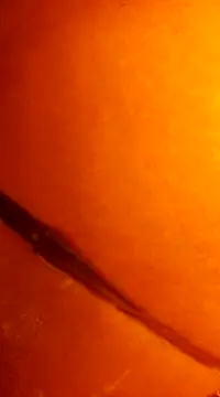 Snapshot of k_lebannon chatting on 12-31-24, 11:49 k lebannon online show from 12-31-24, 11:49