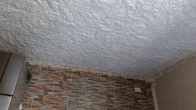 Snapshot of omar_alurba chatting on 02-17-26, 06:25 omar alurba online show from 02-17-26, 06:25