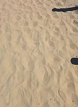 Trucker Hunter online show from 09-28-25, 02:22