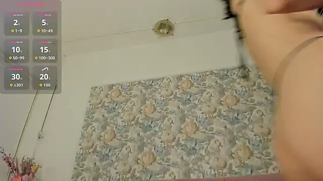 illegal lorry online show from 04-01-26, 05:30