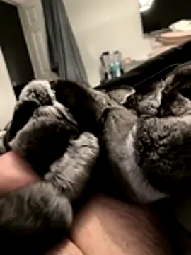 Furdale online show from 11-18-25, 05:17