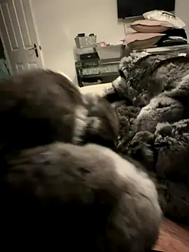 Furdale online show from 11-24-25, 04:40